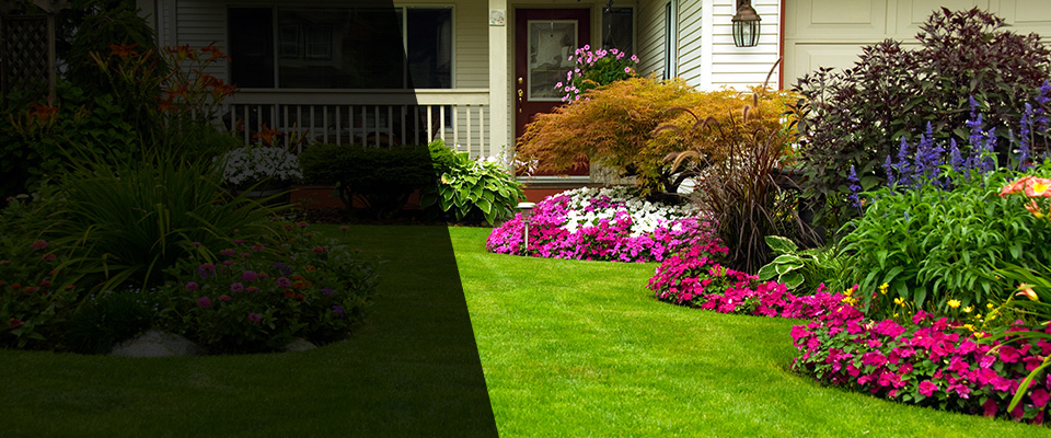 Colorado Springs Landscapers