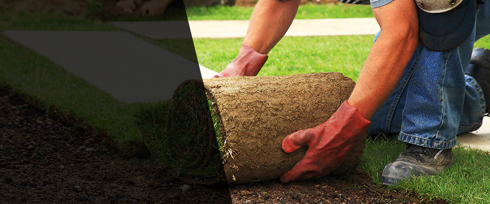 Colorado Springs Landscapers